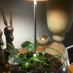 Pflanzenlampe für Wabi-Kusa mit Bastelplastik-Fuß